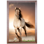 Cavalo 03 - Quadro com Moldura - Preto, Marrom, Rústica ou Branco
