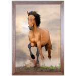 Cavalo 04 - Quadro com Moldura - Preto, Marrom, Rústica ou Branco