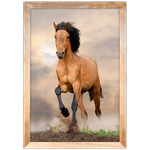 Cavalo 04 - Quadro com Moldura - Preto, Marrom, Rústica ou Branco