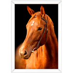 Cavalo 05 - Quadro com Moldura - Preto, Marrom, Rústica ou Branco