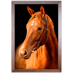 Cavalo 05 - Quadro com Moldura - Preto, Marrom, Rústica ou Branco