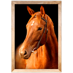 Cavalo 05 - Quadro com Moldura - Preto, Marrom, Rústica ou Branco