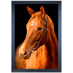 Cavalo 05 - Quadro com Moldura - Preto, Marrom, Rústica ou Branco