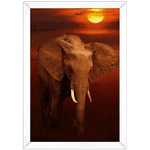 Elefante 01 - Quadro com Moldura - Preto, Marrom, Rústica ou Branco