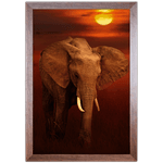 Elefante 01 - Quadro com Moldura - Preto, Marrom, Rústica ou Branco