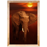 Elefante 01 - Quadro com Moldura - Preto, Marrom, Rústica ou Branco
