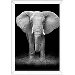 Elefante 02 - Quadro com Moldura - Preto, Marrom, Rústica ou Branco