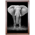Elefante 02 - Quadro com Moldura - Preto, Marrom, Rústica ou Branco