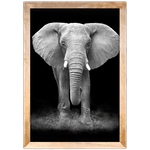 Elefante 02 - Quadro com Moldura - Preto, Marrom, Rústica ou Branco