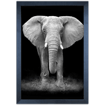 Elefante 02 - Quadro com Moldura - Preto, Marrom, Rústica ou Branco