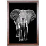 Elefante 03 - Quadro com Moldura - Preto, Marrom, Rústica ou Branco