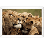 Leão 08 - Quadro com Moldura - Preto, Marrom, Rústica ou Branco