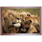 Leão 08 - Quadro com Moldura - Preto, Marrom, Rústica ou Branco