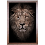 Leão 02 - Quadro com Moldura - Preto, Marrom, Rústica ou Branco