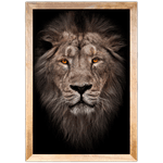 Leão 02 - Quadro com Moldura - Preto, Marrom, Rústica ou Branco
