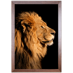 Leão 04 - Quadro com Moldura - Preto, Marrom, Rústica ou Branco