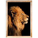 Leão 04 - Quadro com Moldura - Preto, Marrom, Rústica ou Branco