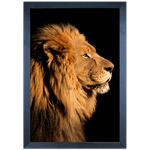 Leão 04 - Quadro com Moldura - Preto, Marrom, Rústica ou Branco