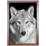Lobo 02 - Quadro com Moldura - Preto, Marrom, Rústica ou Branco