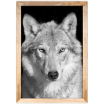 Lobo 02 - Quadro com Moldura - Preto, Marrom, Rústica ou Branco