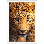 Onça 01 - Quadro com Moldura - Preto, Marrom, Rústica ou Branco