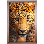 Onça 01 - Quadro com Moldura - Preto, Marrom, Rústica ou Branco