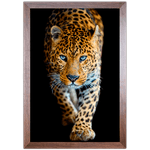 Onça 02 - Quadro com Moldura - Preto, Marrom, Rústica ou Branco