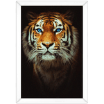 Tigre 01 - Quadro com Moldura - Preto, Marrom, Rústica ou Branco