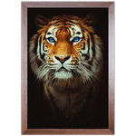 Tigre 01 - Quadro com Moldura - Preto, Marrom, Rústica ou Branco