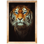 Tigre 01 - Quadro com Moldura - Preto, Marrom, Rústica ou Branco