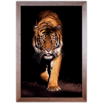 Tigre 03 - Quadro com Moldura - Preto, Marrom, Rústica ou Branco