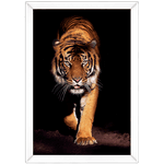 Tigre 03 - Quadro com Moldura - Preto, Marrom, Rústica ou Branco