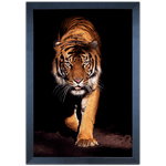 Tigre 03 - Quadro com Moldura - Preto, Marrom, Rústica ou Branco