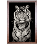 Tigre 04 - Quadro com Moldura - Preto, Marrom, Rústica ou Branco