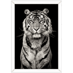 Tigre 04 - Quadro com Moldura - Preto, Marrom, Rústica ou Branco
