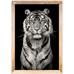 Tigre 04 - Quadro com Moldura - Preto, Marrom, Rústica ou Branco