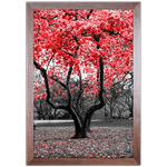 Branco e Vermelho 01 - Quadro com Moldura - Preto, Marrom, Rústica ou Branco