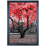 Branco e Vermelho 01 - Quadro com Moldura - Preto, Marrom, Rústica ou Branco