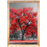 Branco e Vermelho 04 - Quadro com Moldura - Preto, Marrom, Rústica ou Branco