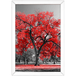 Branco e Vermelho 04 - Quadro com Moldura - Preto, Marrom, Rústica ou Branco