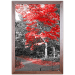 Branco e Vermelho 06 - Quadro com Moldura - Preto, Marrom, Rústica ou Branco