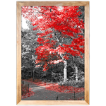 Branco e Vermelho 06 - Quadro com Moldura - Preto, Marrom, Rústica ou Branco