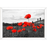 Branco e Vermelho 09 - Quadro com Moldura - Preto, Marrom, Rústica ou Branco