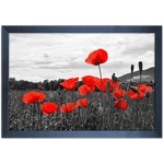 Branco e Vermelho 09 - Quadro com Moldura - Preto, Marrom, Rústica ou Branco