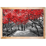 Branco e Vermelho 10 - Quadro com Moldura - Preto, Marrom, Rústica ou Branco