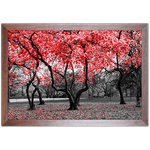 Branco e Vermelho 15 - Quadro com Moldura - Preto, Marrom, Rústica ou Branco