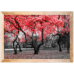 Branco e Vermelho 15 - Quadro com Moldura - Preto, Marrom, Rústica ou Branco