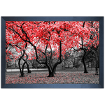 Branco e Vermelho 15 - Quadro com Moldura - Preto, Marrom, Rústica ou Branco