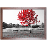 Branco e Vermelho 19 - Quadro com Moldura - Preto, Marrom, Rústica ou Branco