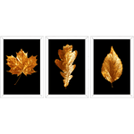 Conjunto 18 - Imagem Preto e Dourado com 3 Quadros - Com Moldura - Preto, Marrom, Rústica ou Branco